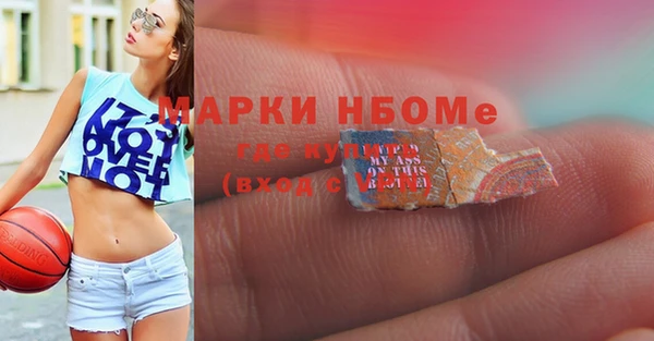 PSILOCYBIN Покачи
