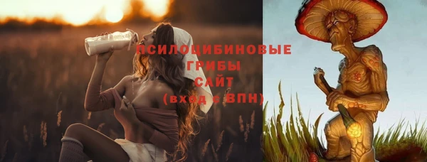 PSILOCYBIN Покачи