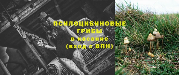 PSILOCYBIN Покачи