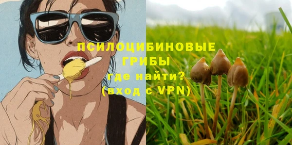 PSILOCYBIN Покачи