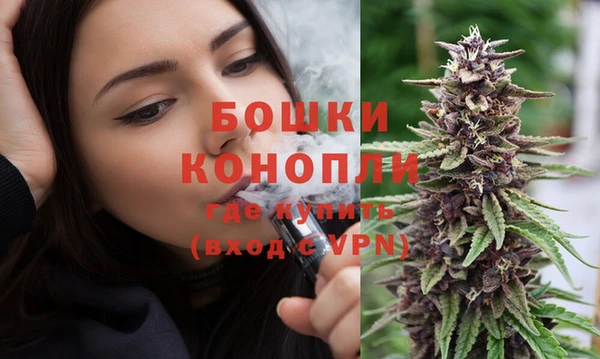 PSILOCYBIN Покачи